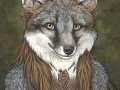 greyfoxportrait.jpg